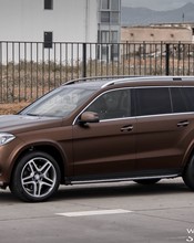 K75543 Java Brown - 1.jpg