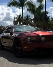 K75408 Red Black Iridescent - 2.jpg