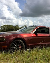 K75408 Red Black Iridescent - 1.jpg